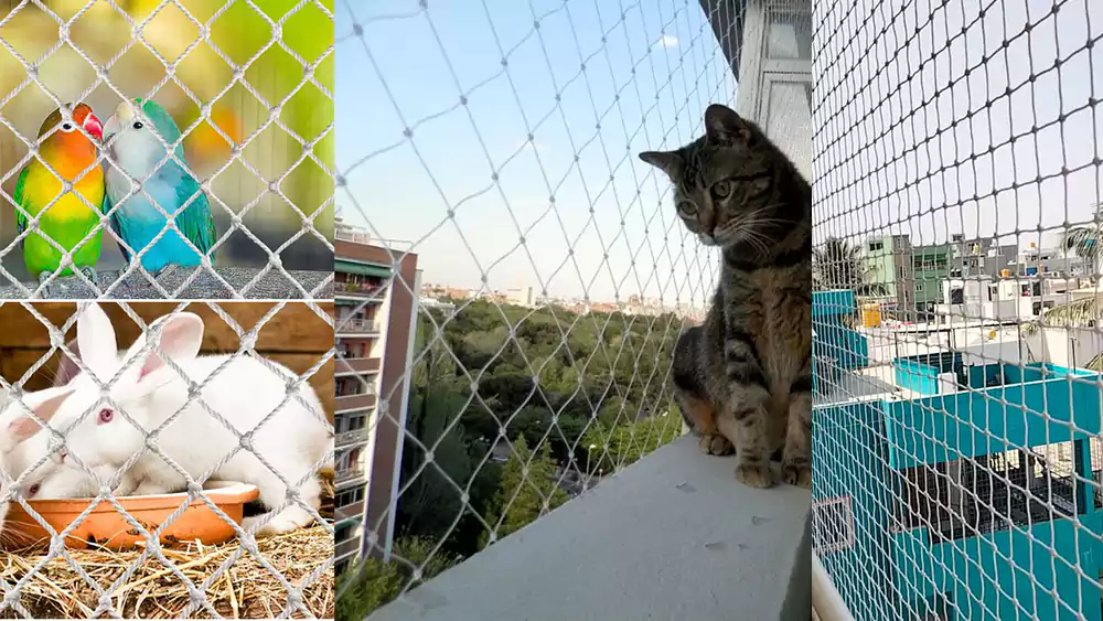 Pets Safety Nets
